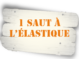 1 Saut à l'élastique
